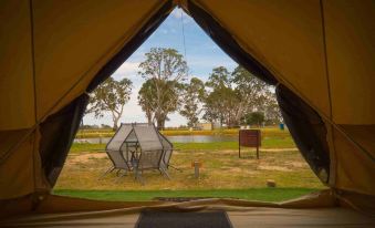 a view from inside a tent looking out at a tent and trees , with a slide visible in the distance at Coonawarra Bush Holiday Park