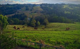 Maleny Hotel