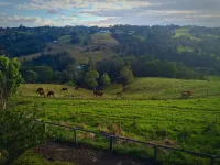 Maleny Hotel Hotels in Maleny