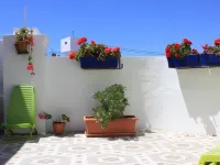 Hi Valencia Canovas