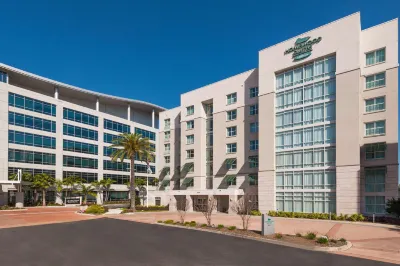 Homewood Suites by Hilton Tampa Airport-Westshore Các khách sạn ở Tampa