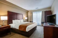 Comfort Suites Downtown Hotels in Winter Park