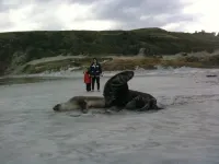 Stafford Gables Hostel