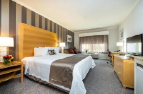 Best Western Plus Dixon Davis