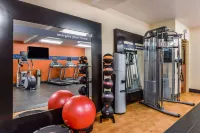 Hampton Inn & Suites Boulder-North - Gym