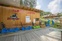 Il Nido di Elda Few Steps from Skiing - Happy Rentals