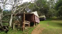 Cebu Hostel and Glamping