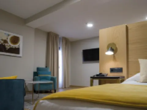 HOTEL ZENTRAL MAYORAL TOLEDO โรงแรมในโตเลโด