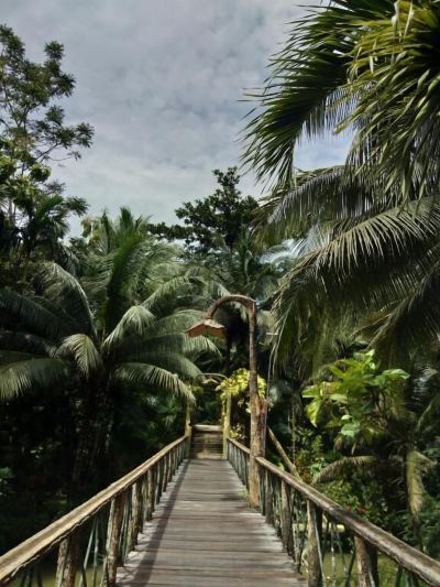 ホテル周辺 セピロック ジャングル リゾートの写真