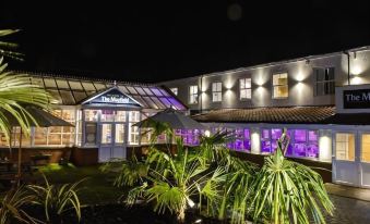 a large building with a purple light display is surrounded by greenery and has palm trees in the foreground at The Mayfield Seamer