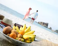 Billiton Ekobeach Retreat - Beach