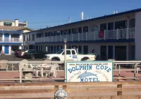 Dolphin Cove Motel