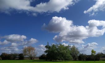 La Halte Aux Oiseaux