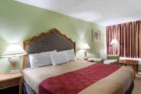 Hotel Elev8 Hôtels à : Conroe