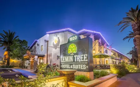 The Lemon Tree Hotel