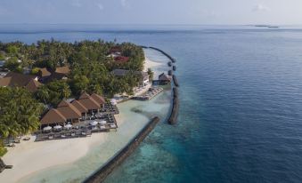 aerial view of a tropical island with a resort on the shore and clear blue water at Kurumba Maldives