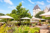 Hotel Chateau du Rivau Hotels in Lemere