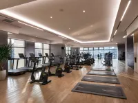 DoubleTree by Hilton Seoul Pangyo - Gym