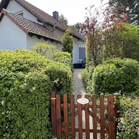 Möwennest