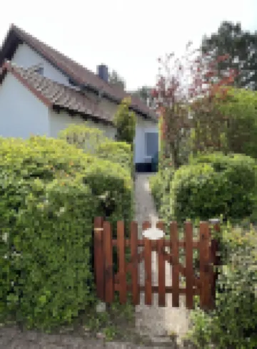 Möwennest
