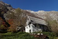 Elderflower Cottage in the Heart of Nature - 3-Star