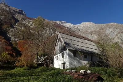 Elderflower Cottage in the Heart of Nature