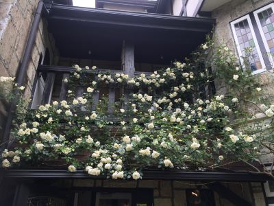 共有エリア プチホテル＆レストラン オールドエイジの写真