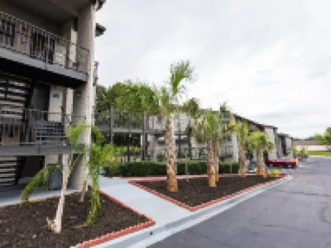 Bhagat Hotels Stone Mountain Atlanta BW Signature Collection Hotels in Tucker