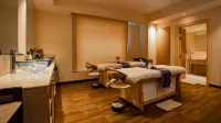 阿格拉希爾頓逸林酒店 - SPA