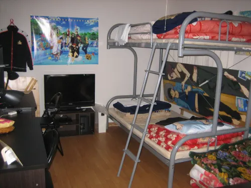 Minshuku New Otani Hotels in Iwami District