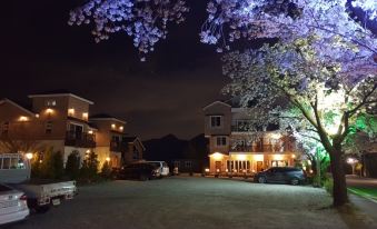 Princess December Waltz Pension