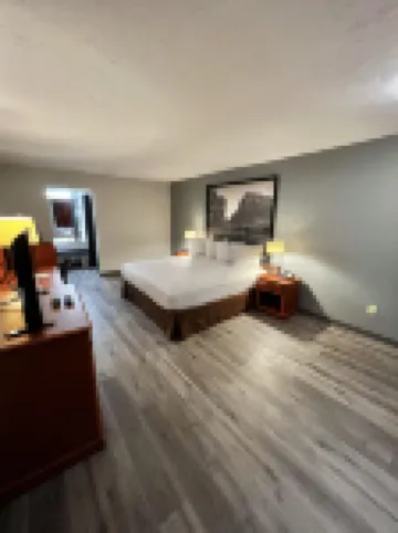 Super 8 by Wyndham Sealy