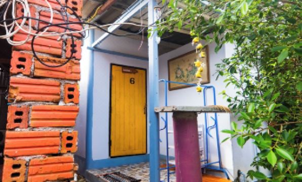 4. 하이데일리..