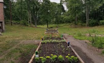 The Chicken Coop