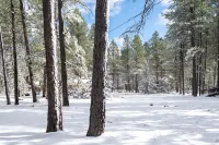 BEAUTIFUL CABIN IN THE PINES :)