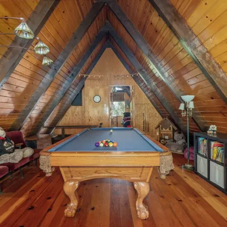 The Cozy Cub: Air Conditioning, Dog Friendly, Pool Table, Private Lakes in Bls