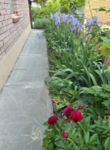 Quiet Comfort- Adventures Start Here!