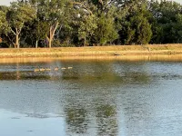 Relaxing Rural Family Home with a great outdoor experience 伍德沃德縣酒店