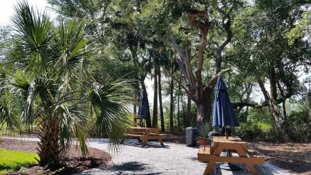 Breathtaking Salt Marsh Views & Sunsets & Kayaking with Dolphins