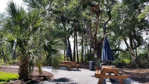 Breathtaking Salt Marsh Views & Sunsets & Kayaking with Dolphins