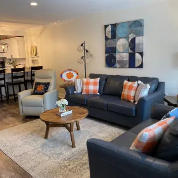 Adorable & recently renovated condo within walking distance to downtown Clemson.