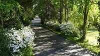 Private Apartment on Beautiful Grounds, Walking Distance to Landrum SC