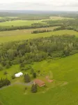 Spacious, Secluded Sanctuary!  Very Clean!  5 Queen Beds!  Wildlife Viewing.