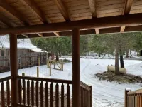 Cozy Log Cabin with private access to the Trinity River! Hotels in Trinity County