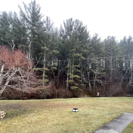 Comfy Getaway w/ stream and bridge out back