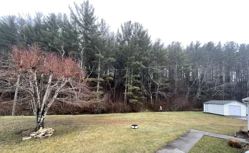 Comfy Getaway w/ stream and bridge out back