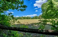 Perfection in Litchfield County Hotel di Sherman