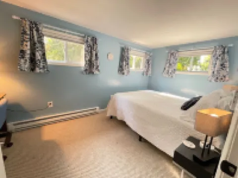 Peaceful, Serene, Lake View thru the trees