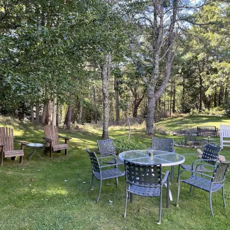 FARMHOUSE newly renovated in heart of Acadia with wild blueberries on 3 acres!