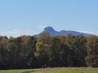 New cabin- access to horse trails, Pilot Mtn & Hanging Rock St. Pks Hotels in Stokes County
